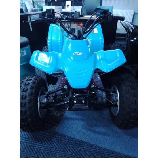 SMC RAM 100                                                                                                                                                                                                                                               